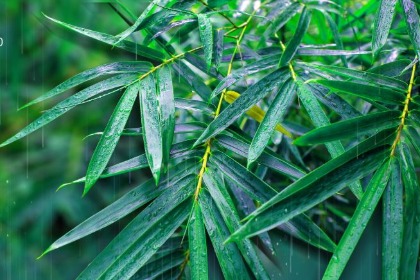 下雨天出远门好吗