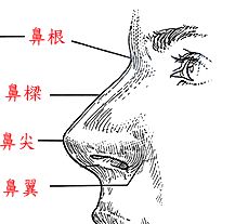 胖女人的面相,面相金甲,都说女人胖了有财运